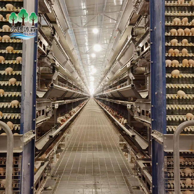 Quadruple-deck Layer Rearing Cage